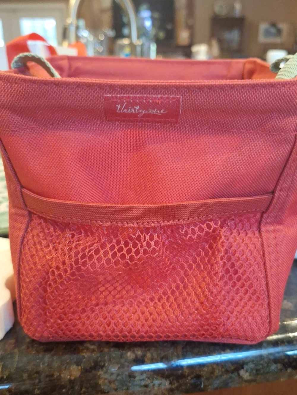thirty-one Retired Kids Hedgehog Tote with Light Green Strap